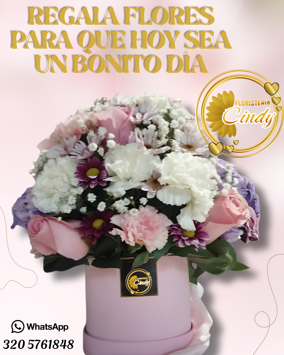Copia de Copia de cindy_20260115_080933_0000