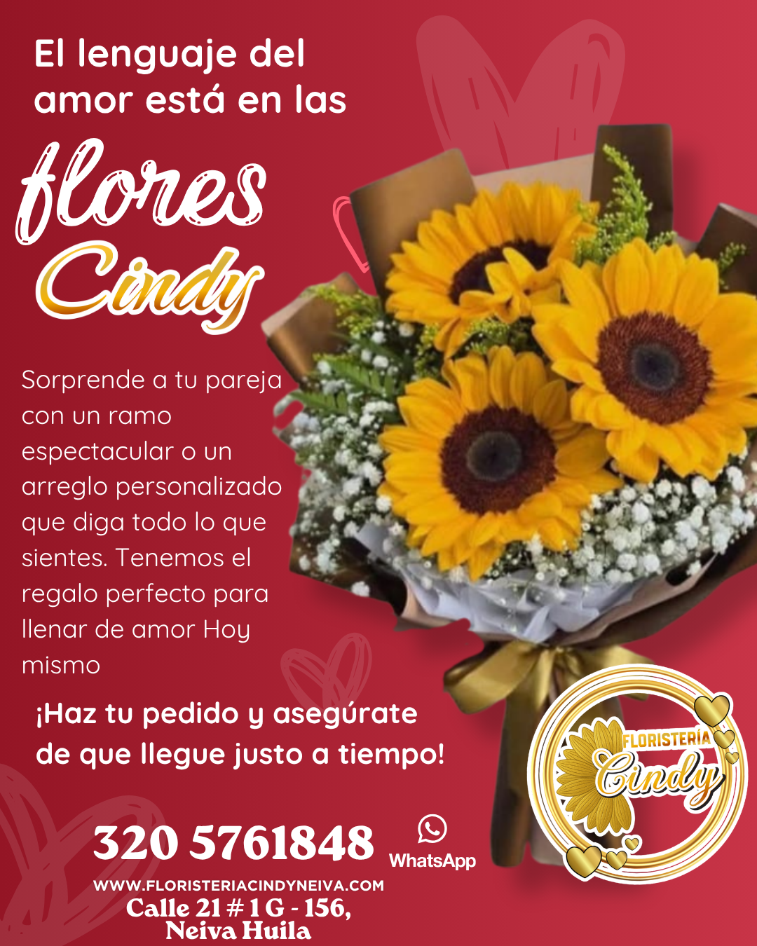 Copia de Copia de cindy_20260408_071938_0000
