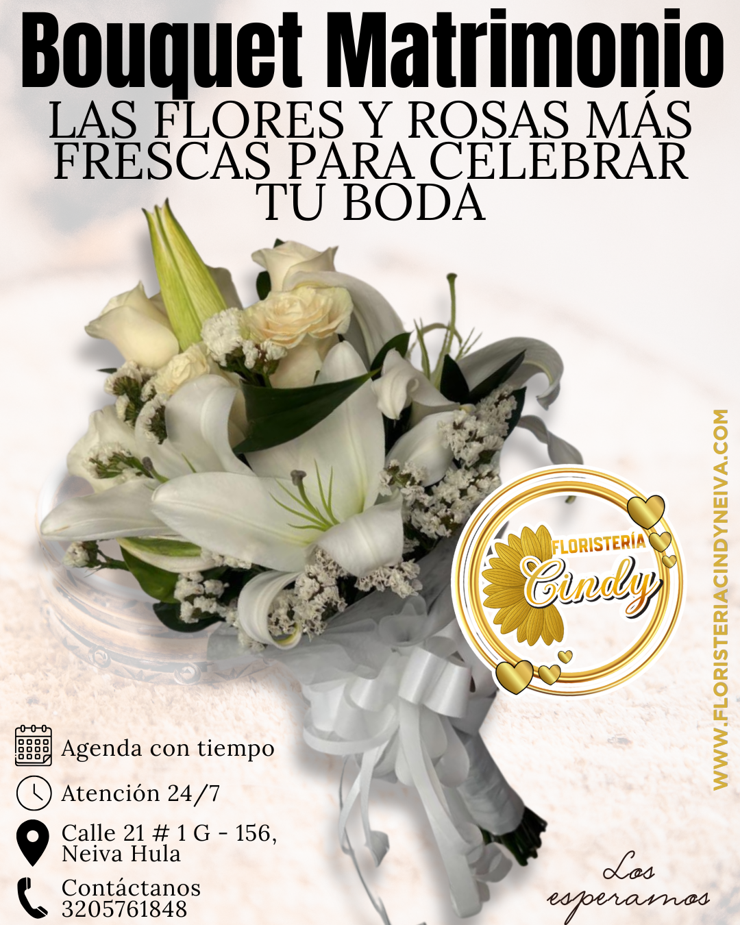 Copia de Copia de cindy_20260428_131517_0000